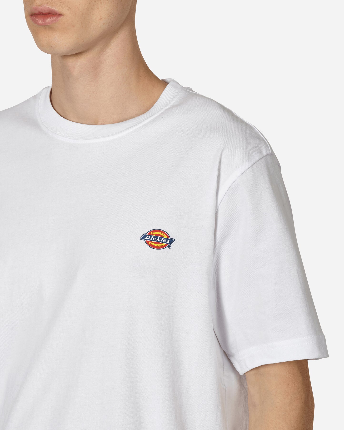 Dickies Ss Mapleton T-Shirt White T-Shirts Shortsleeve DK0A4XDB WHX1