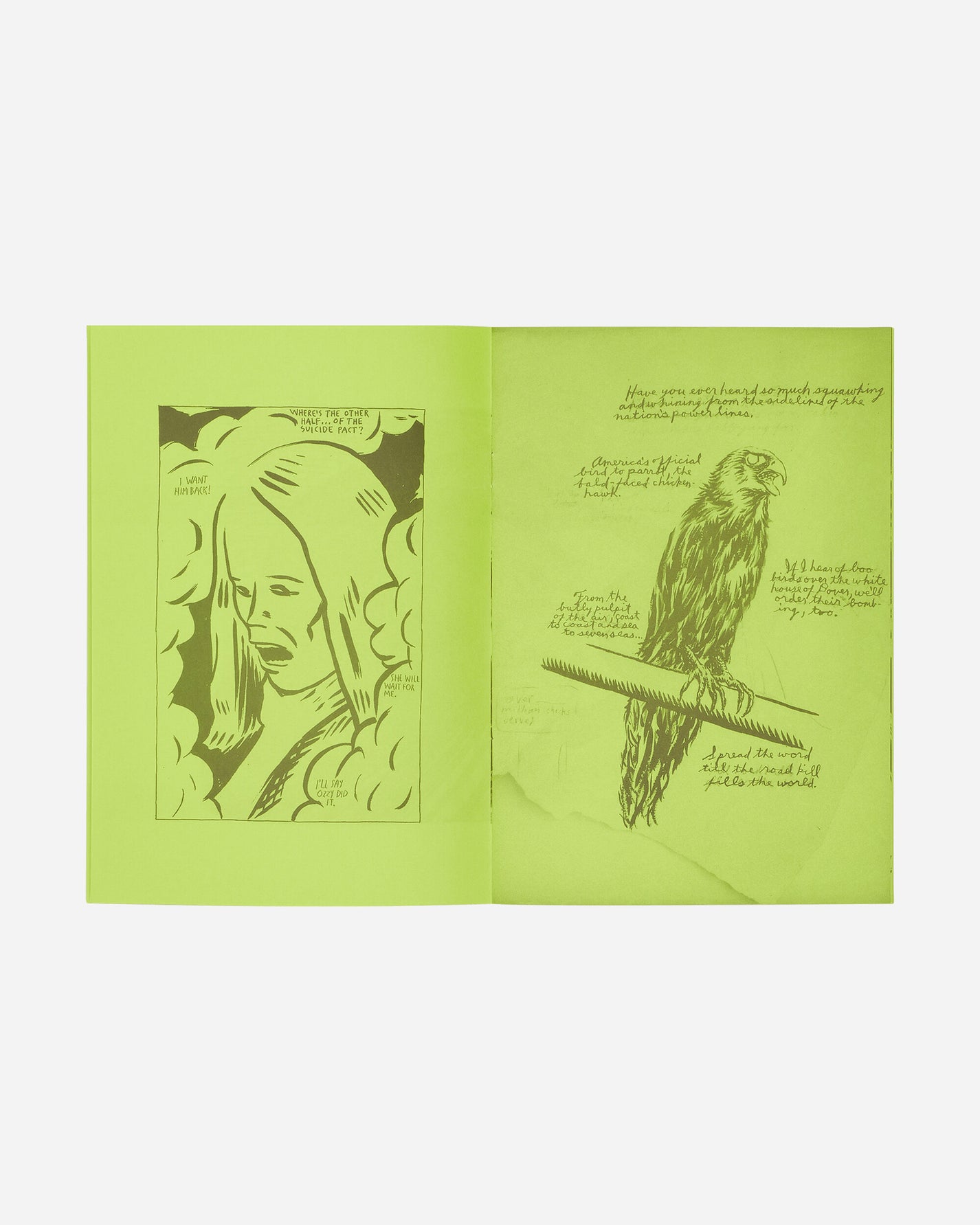 Innen Publishing Raymond Pettibon: Selected Works From 1982 To 2011 Multicolor Books and Magazines Books IPPETTI82 001