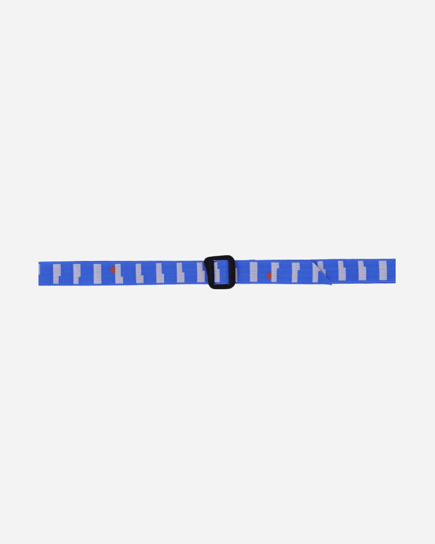 Patagonia Friction Belt Water People/Vessel Blue Belts Belt 59179 WPVL