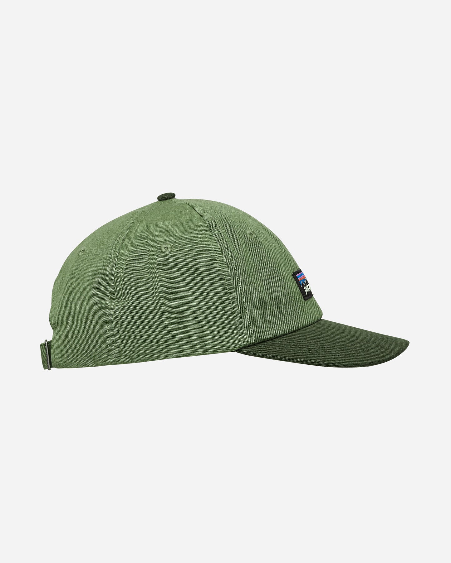 Patagonia P-6 Label Trad Cap Terrain Green  Hats Caps 38296 TNGR