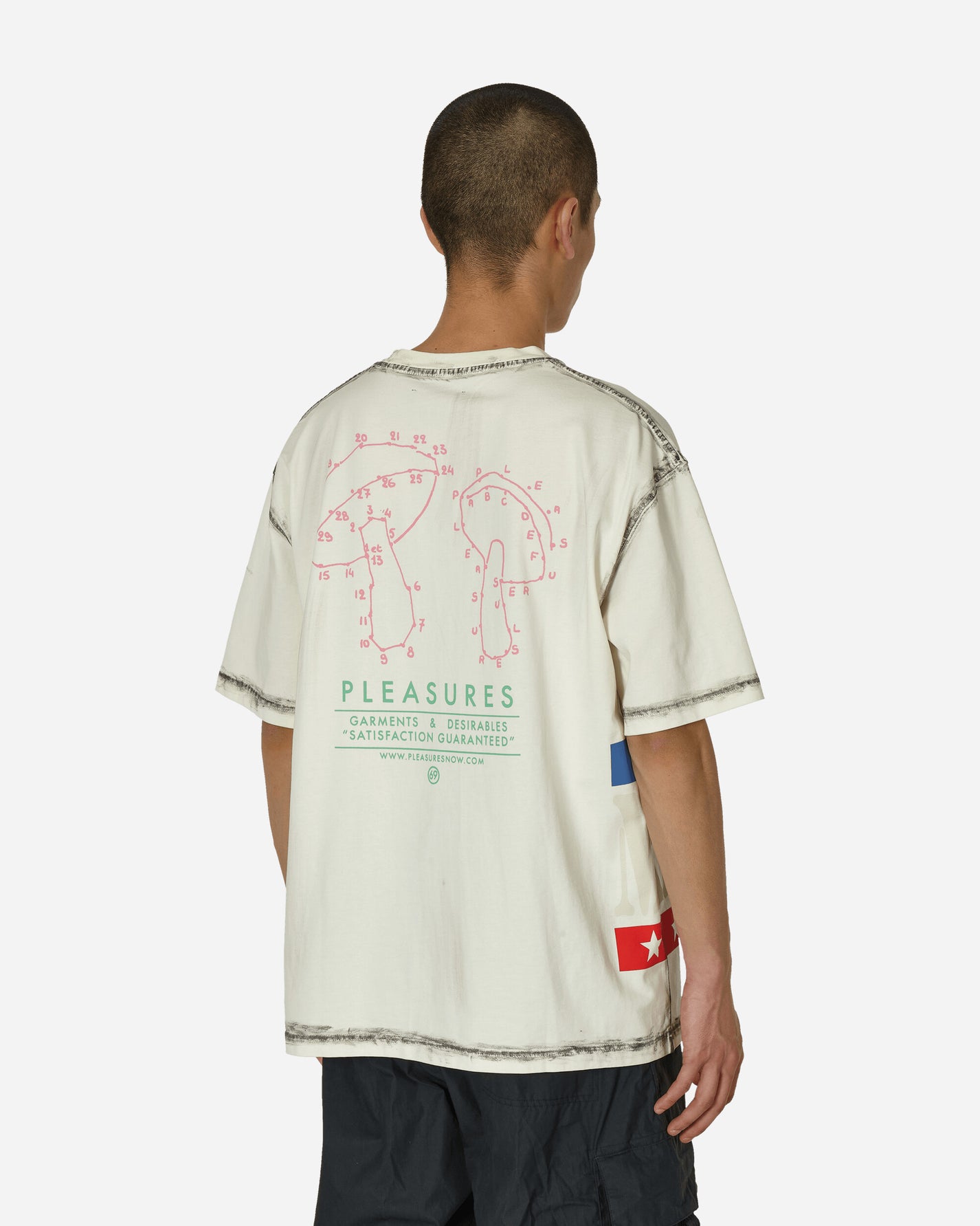 Pleasures Evolution Heavyweight T-Shirt Off White T-Shirts Shortsleeve 9010402 OFFWHITE