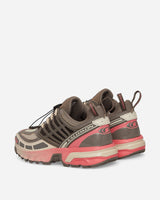 Salomon Acs Pro Falcon/Sugar Coral Sneakers Low L47448200