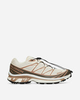 Salomon Xt-6 Almond/Portabella/Ice Flow Sneakers Low L47582200